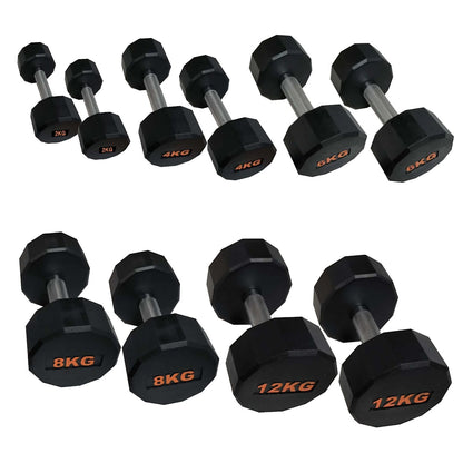 Round Hex Dumbbell – Anti‑Roll Stability for Home & Commercial Workouts