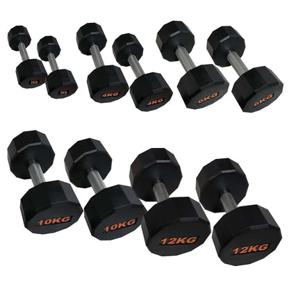 Round Hex Dumbbell – Anti‑Roll Stability for Home & Commercial Workouts