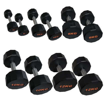 Round Hex Dumbbell – Anti‑Roll Stability for Home & Commercial Workouts