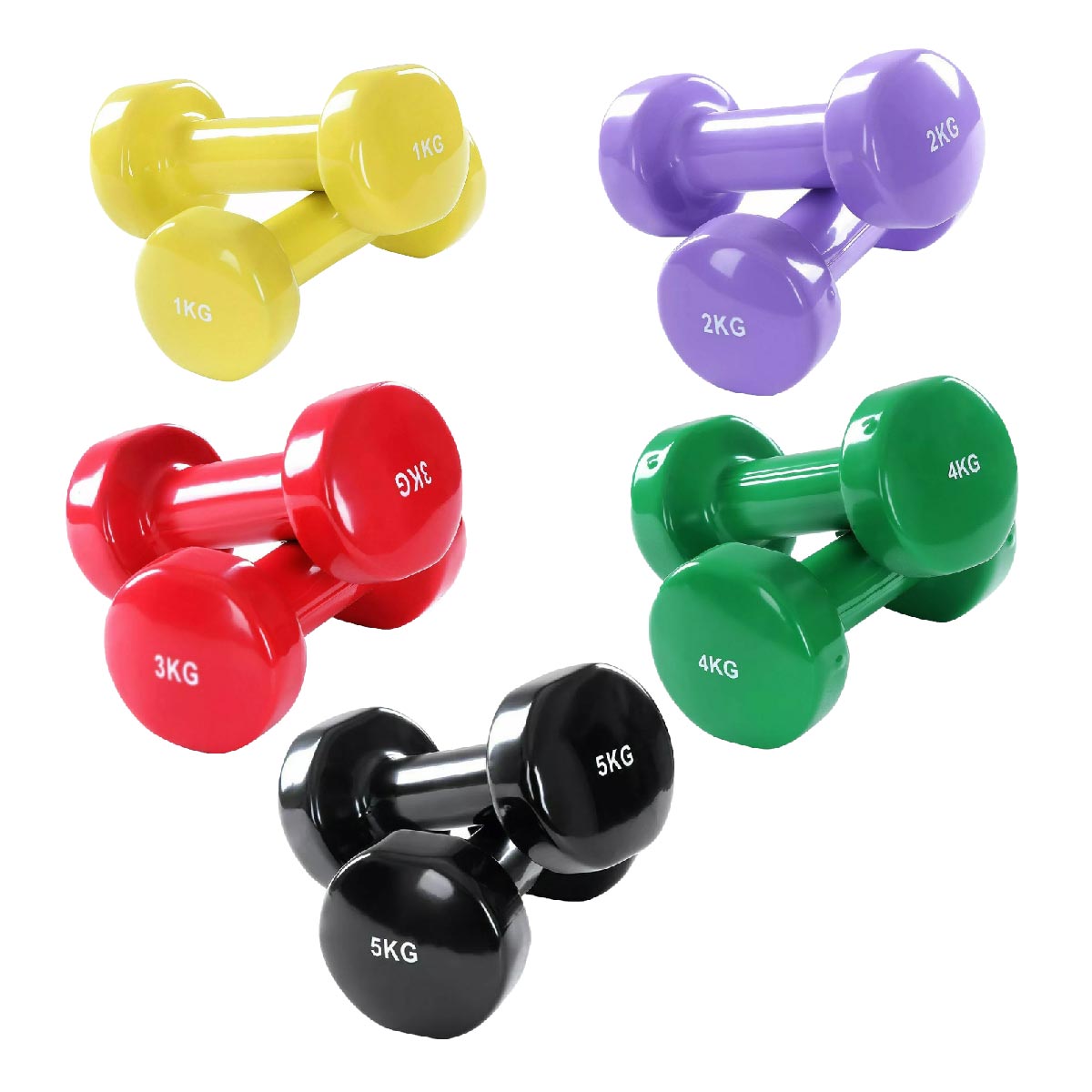 Multi Color Neoprene Vinyl Coated Dumbbells –  Hand Weights for Home Strength Training Gym